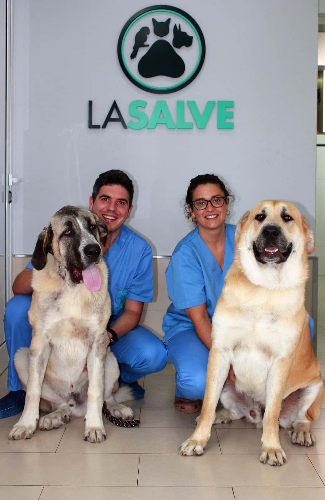 Clínica Veterinaria La Salvé