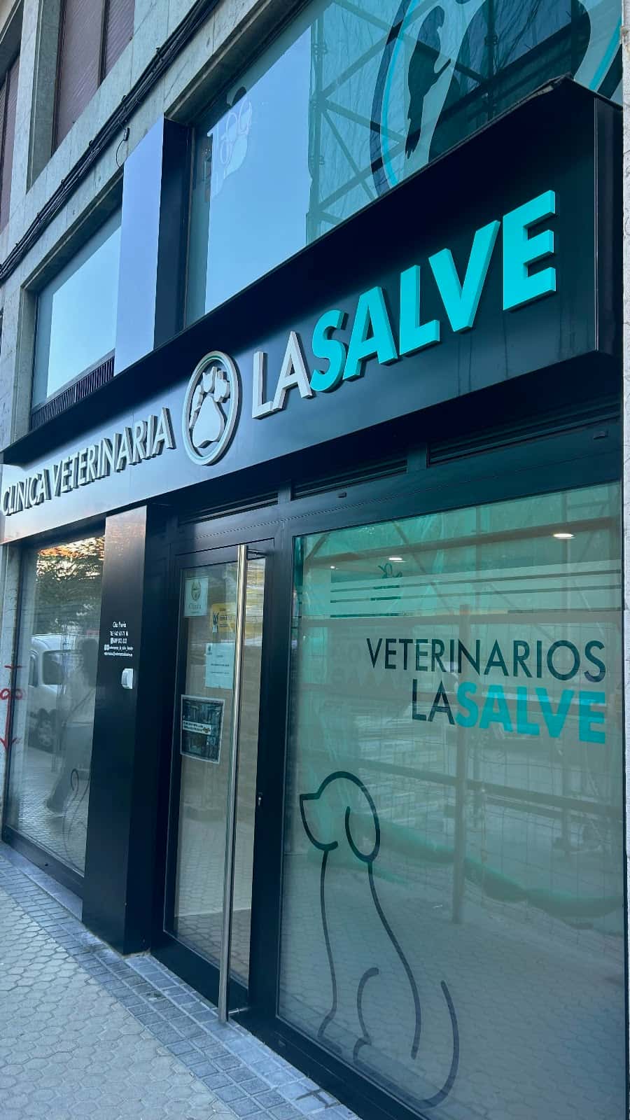 clinica veterinaria la salve veterinario clinica en laredo en cantabria principalImage ADOPTA Sitios Pet Friendly