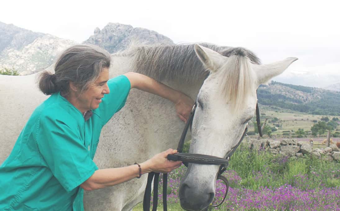 CENTRO VETERINARIO ANA MARTIN