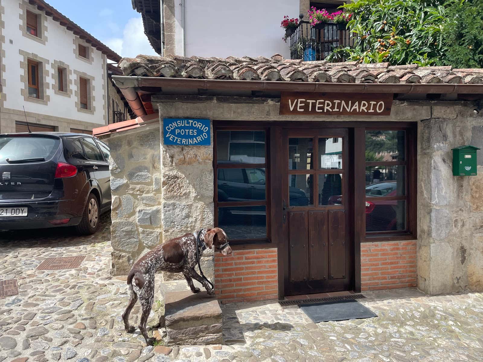 Consultorio Veterinario Potes