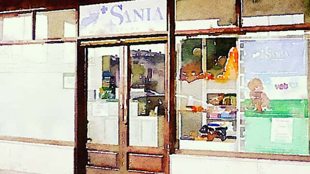 clinica veterinaria sania veterinario clinica en puente san miguel en cantabria principalImage ADOPTA Sitios Pet Friendly