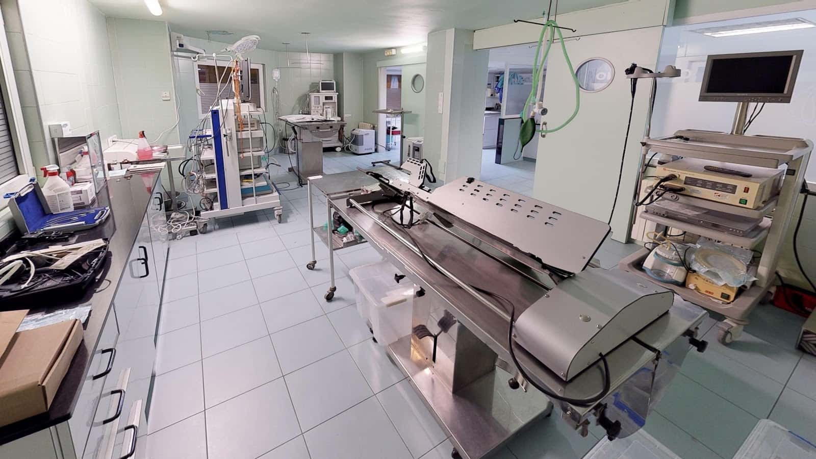 Hospital Veterinario Bustamante | MiVet