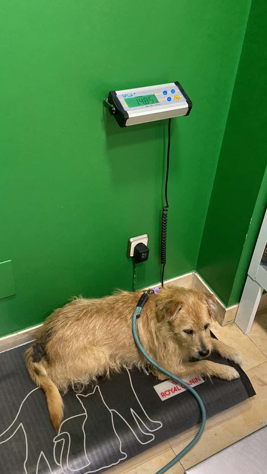 Clínica Veterinaria Besaya