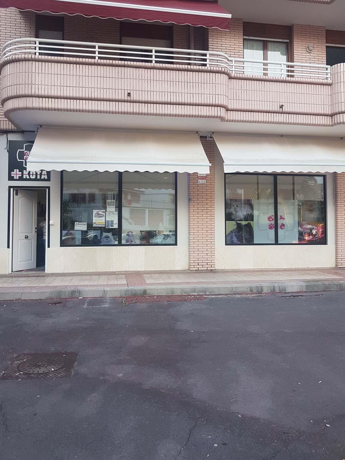 Clínica Veterinaria +kota