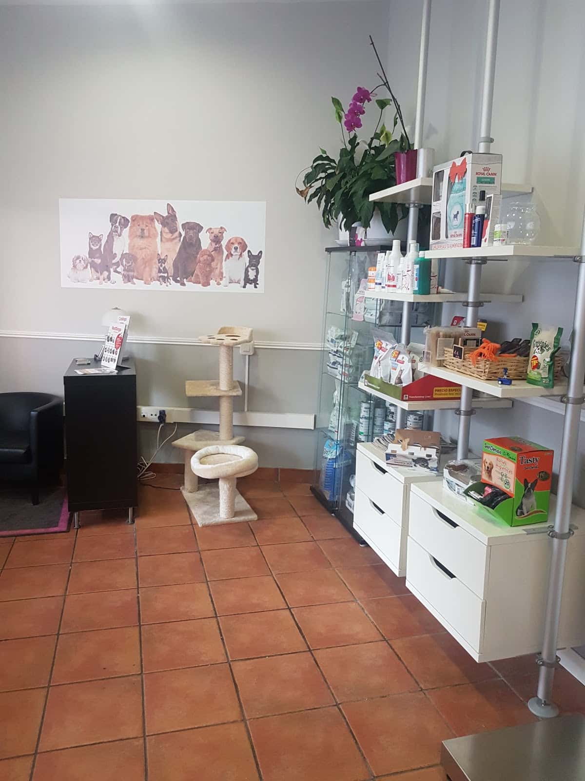 Clínica Veterinaria +kota