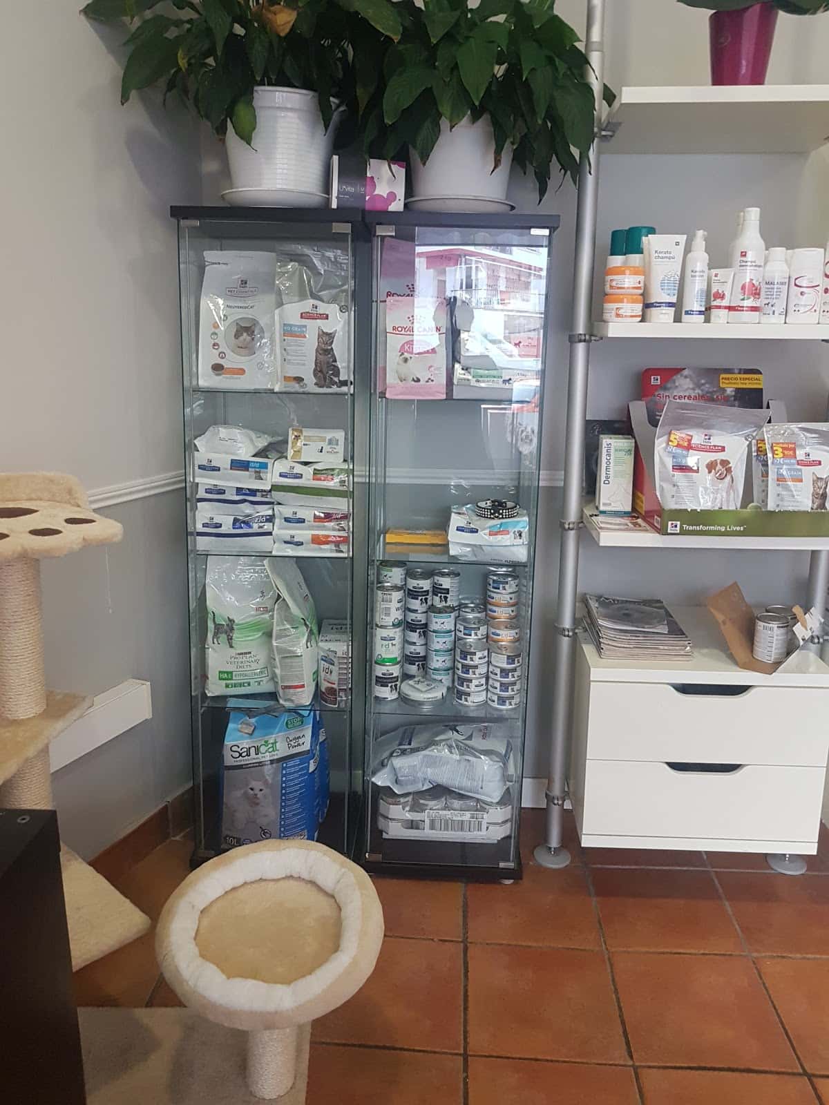 Clínica Veterinaria +kota