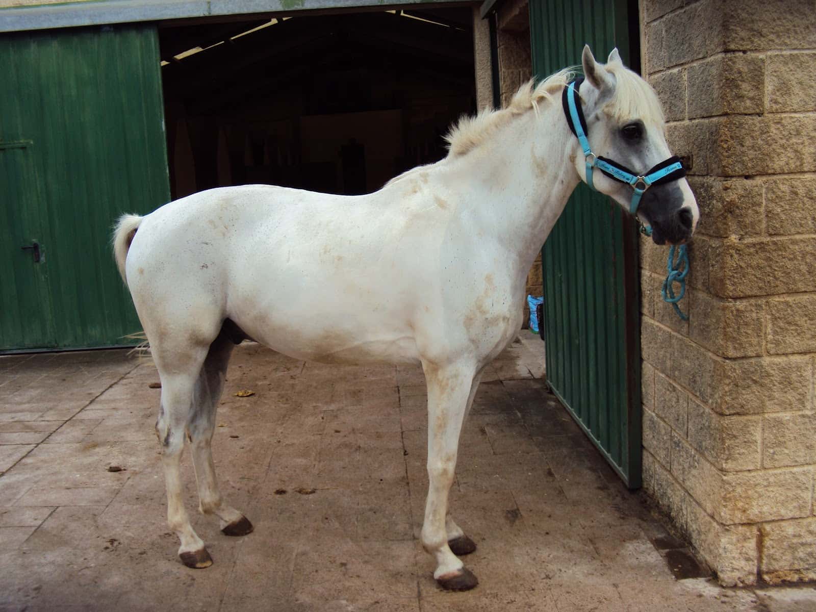 Centrovet Cantabria. Veterinarios Especilistas en Pequeños Animales.