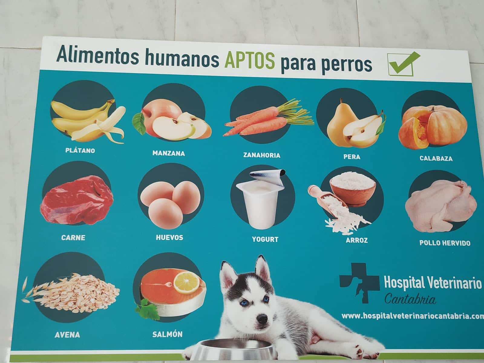 hospital veterinario astillero veterinario hospital en astillero en cantabria principalImage ADOPTA Sitios Pet Friendly