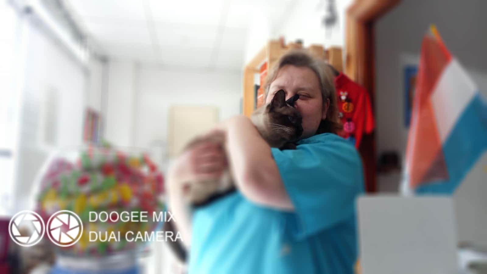 clinica veterinaria ampudia veterinario clinica en santander en cantabria principalImage ADOPTA Sitios Pet Friendly