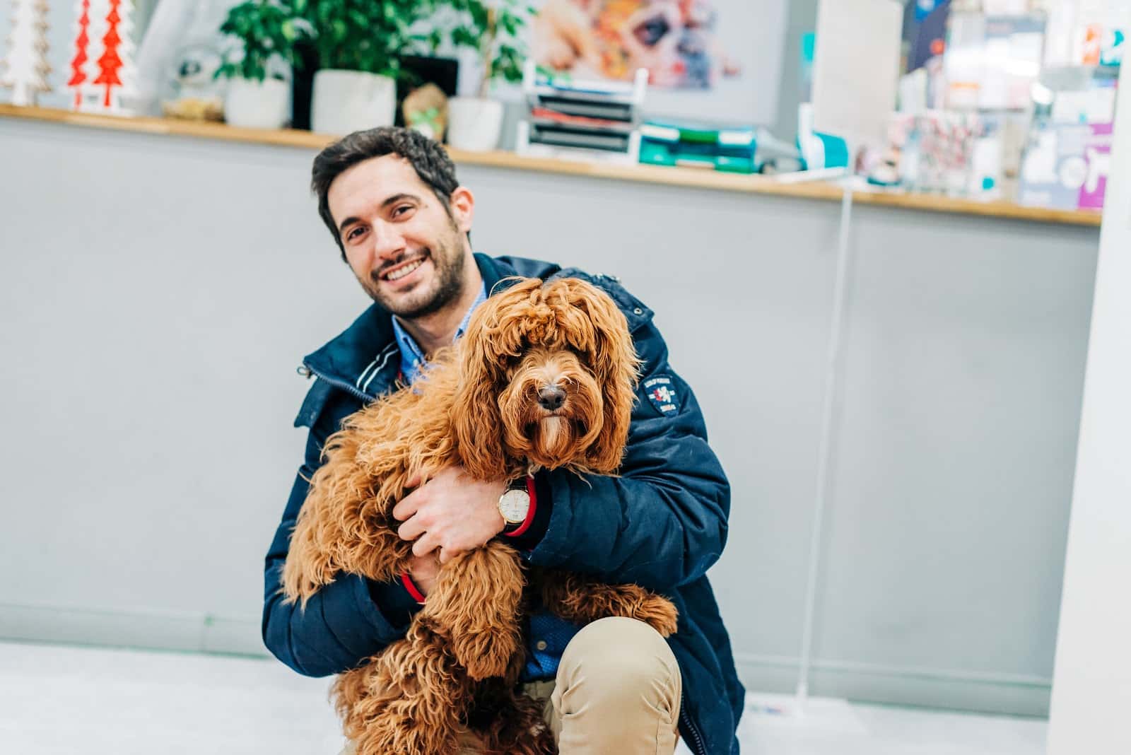 Animals Cantabria-Hospital Veterinario 24 Horas