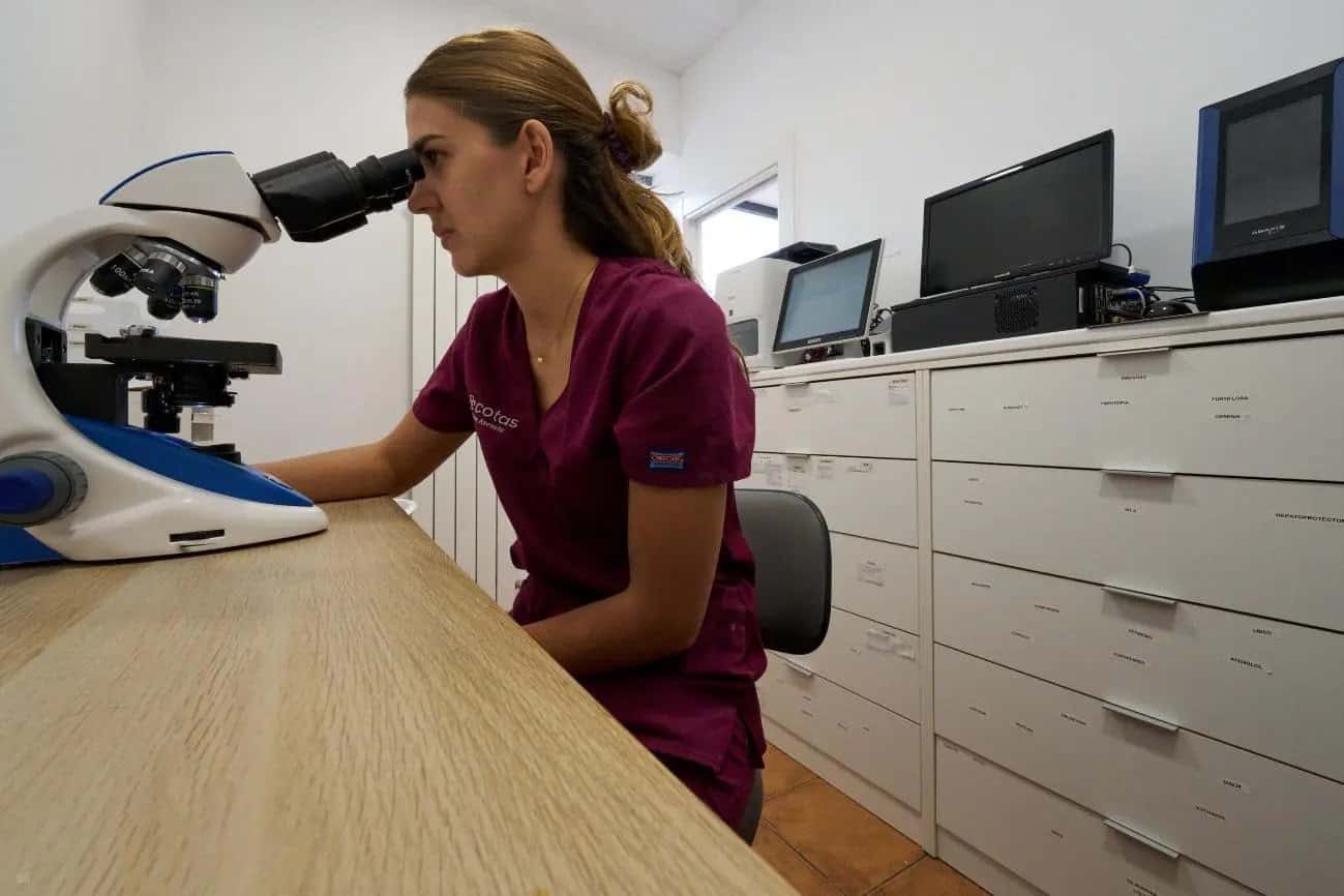 Clínica Veterinaria +COTAS Cuéllar