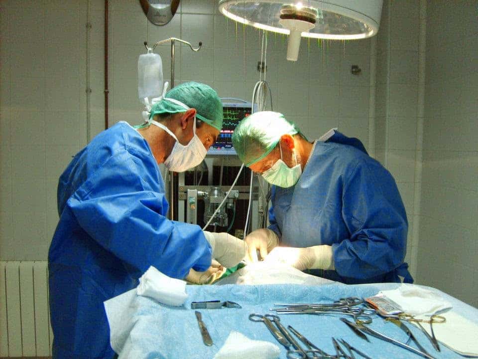 Centro Veterinario Cantalejo