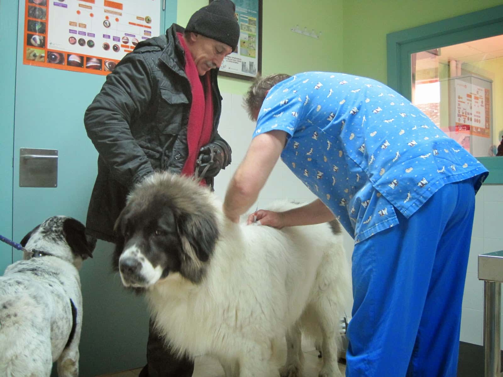 Centro Veterinario Cantalejo