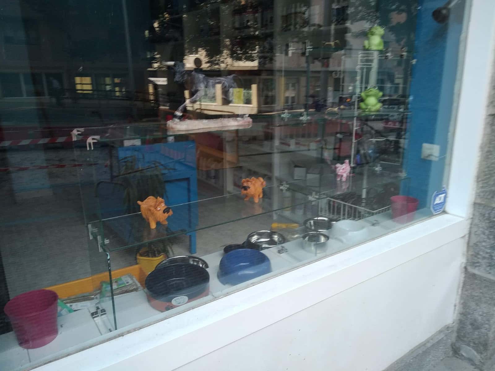 solvet veterinario centro barrio segovia en segovia en segovia principalImage ADOPTA Sitios Pet Friendly