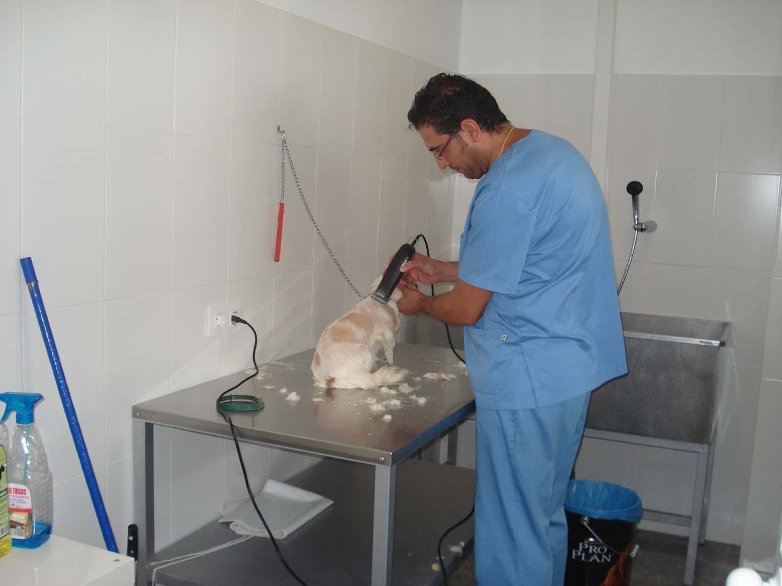 Centro Veterinario La Avenida
