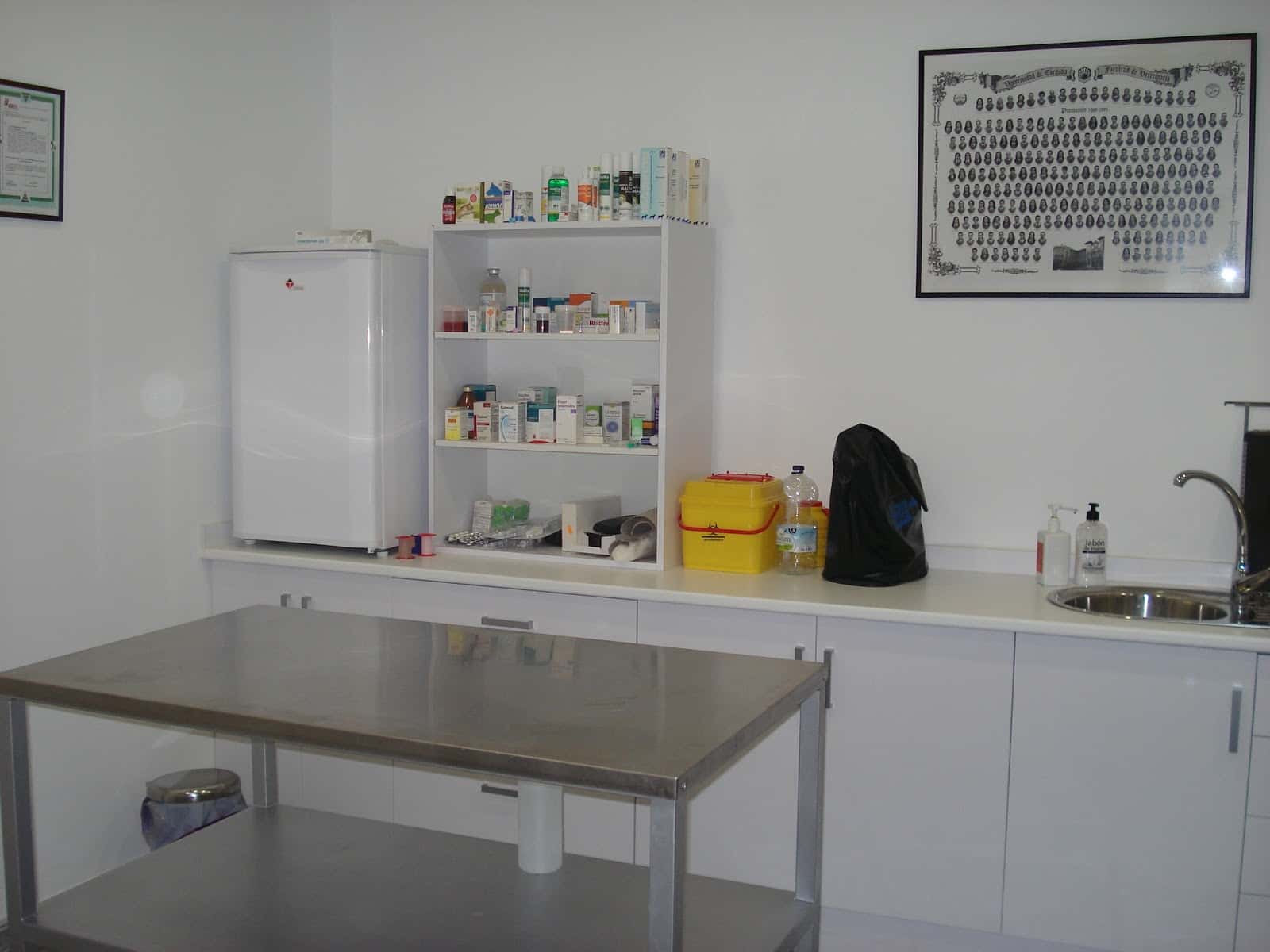 centro veterinario la avenida veterinario centro en estepa en sevilla principalImage ADOPTA Sitios Pet Friendly