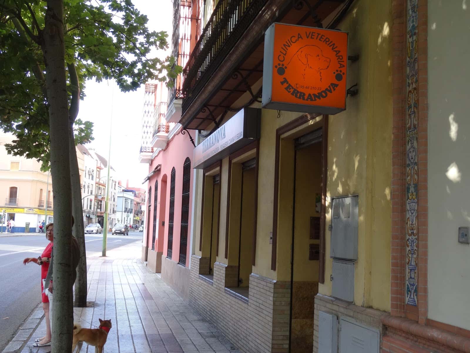 clinica veterinaria terranova veterinario clinica barrio sevilla en sevilla en sevilla photo undefined ADOPTA Sitios Pet Friendly