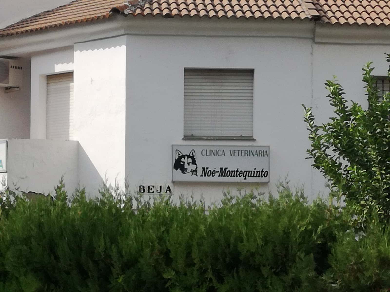 Clínica Veterinaria Noé Montequinto