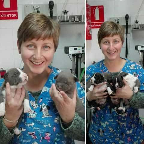 CLINICAN DOS HERMANAS. CLÍNICA VETERINARIA.