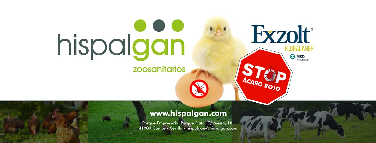 Hispalgan (HISPALENSE DE GANADERIA S.L).)