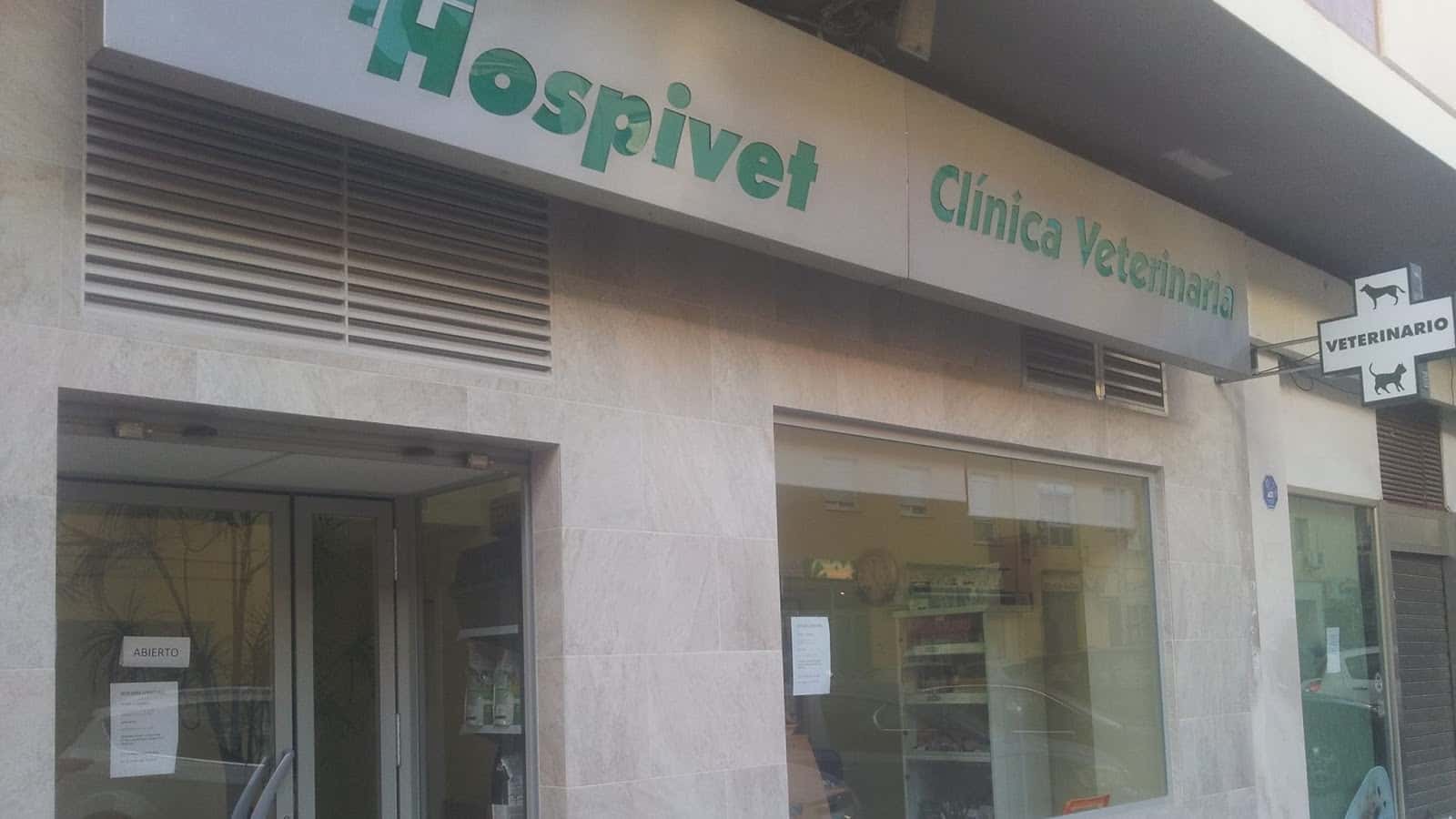 clinica veterinaria hospivet sevilla veterinario hospital barrio sevilla en sevilla en sevilla principalImage ADOPTA Sitios Pet Friendly