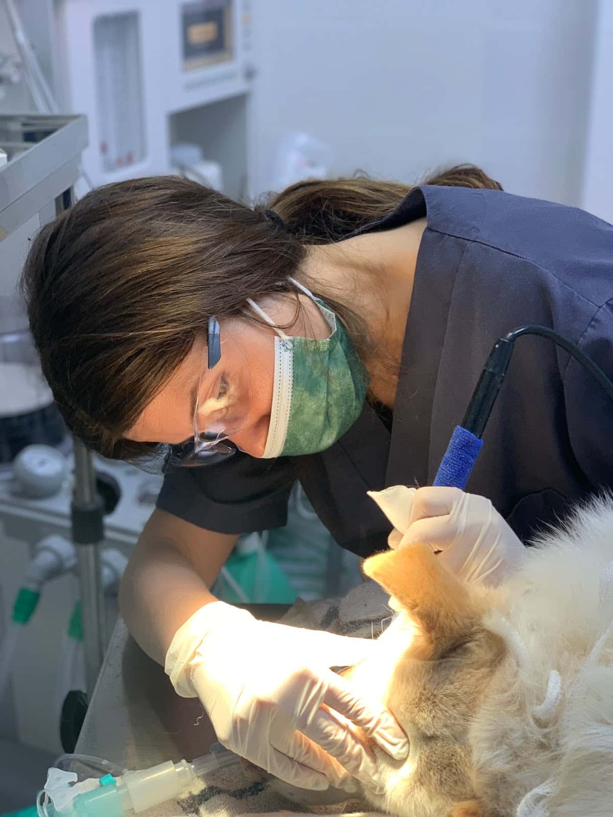 Clínica Veterinaria Ardila - Santiponce