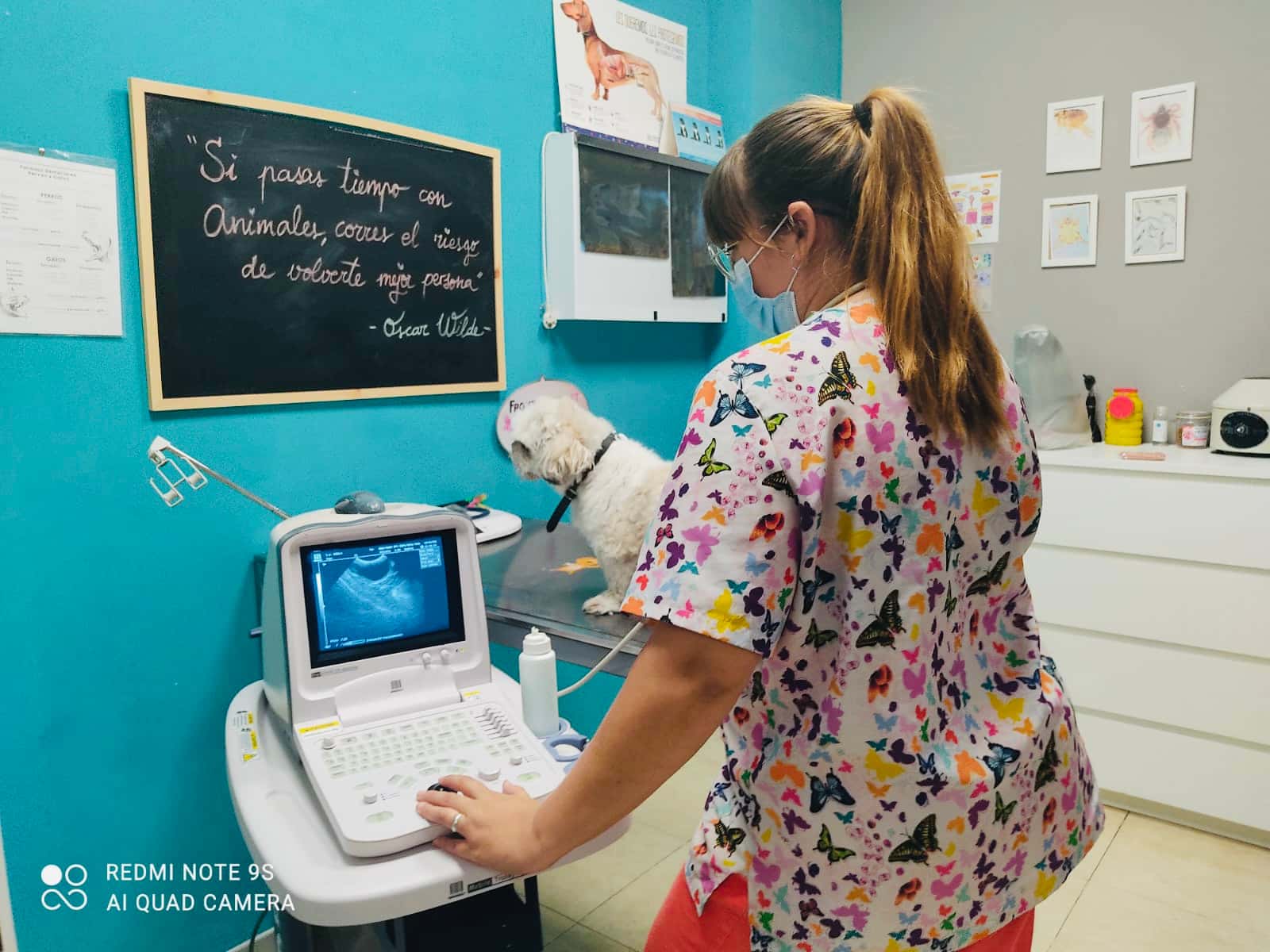 clinica veterinaria ardila   santiponce veterinario clinica en santiponce en sevilla principalImage ADOPTA Sitios Pet Friendly