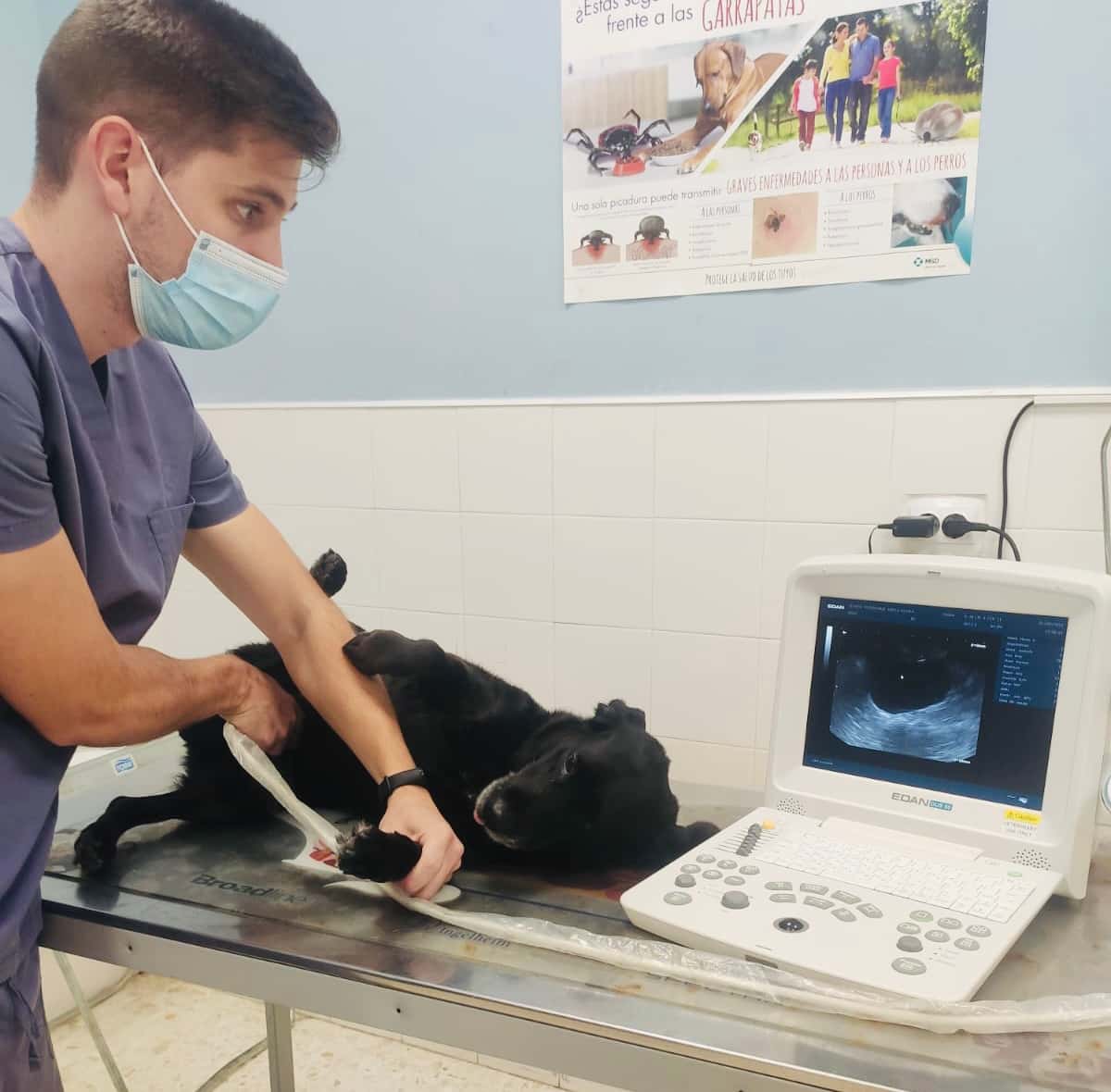 centro veterinario ardila alcala del rio veterinario centro en alcala del rio en sevilla principalImage ADOPTA Sitios Pet Friendly