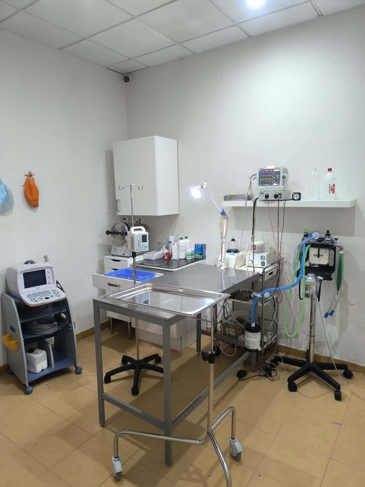 Clínica Veterinaria San José