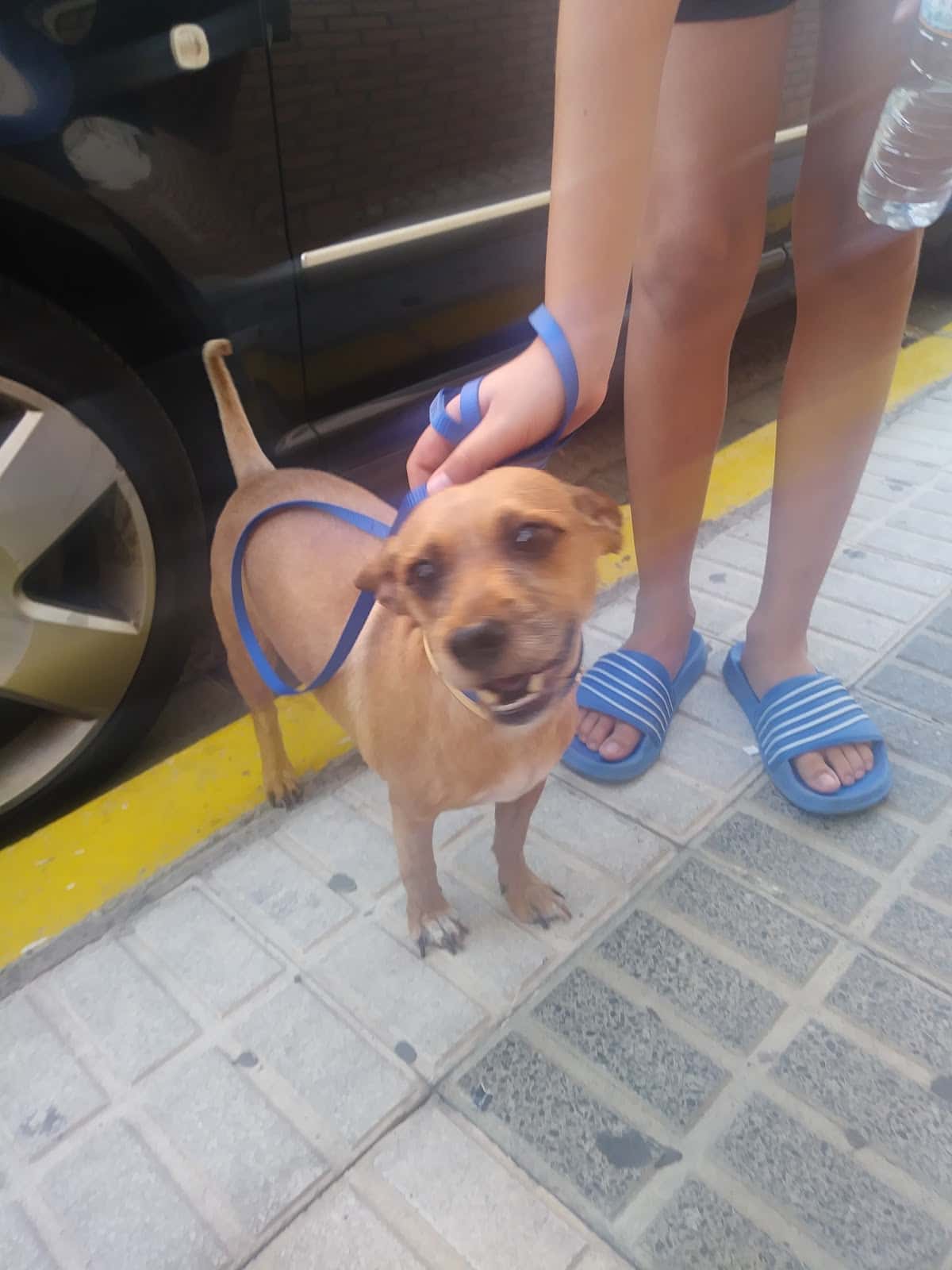Clínica Veterinaria La Rinconada