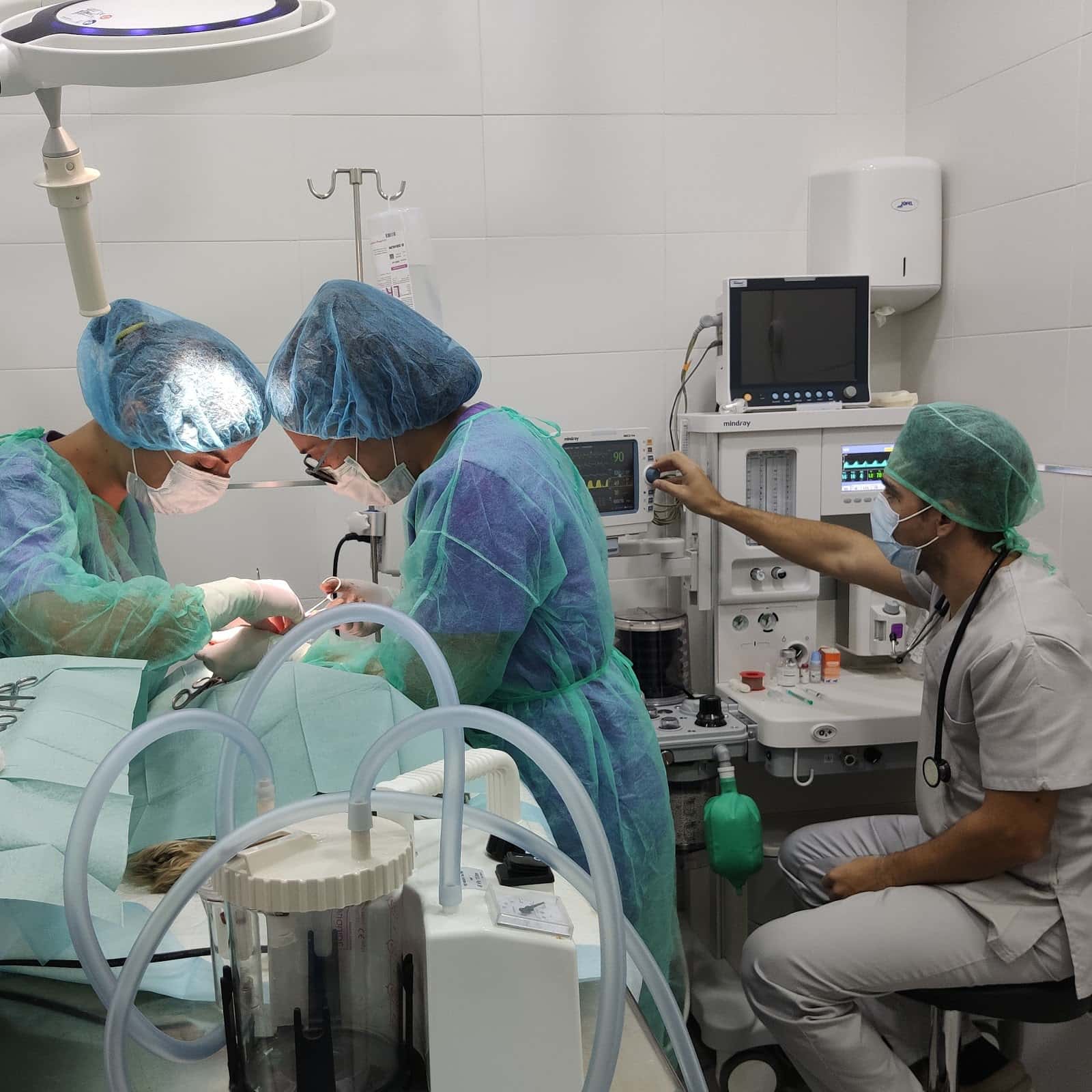 Vitalcan Centro Veterinario Urgencias 24 horas
