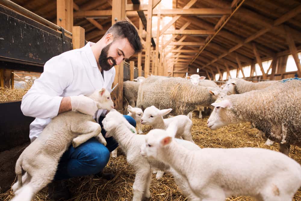 Hospital Veterinario La Salle 24h