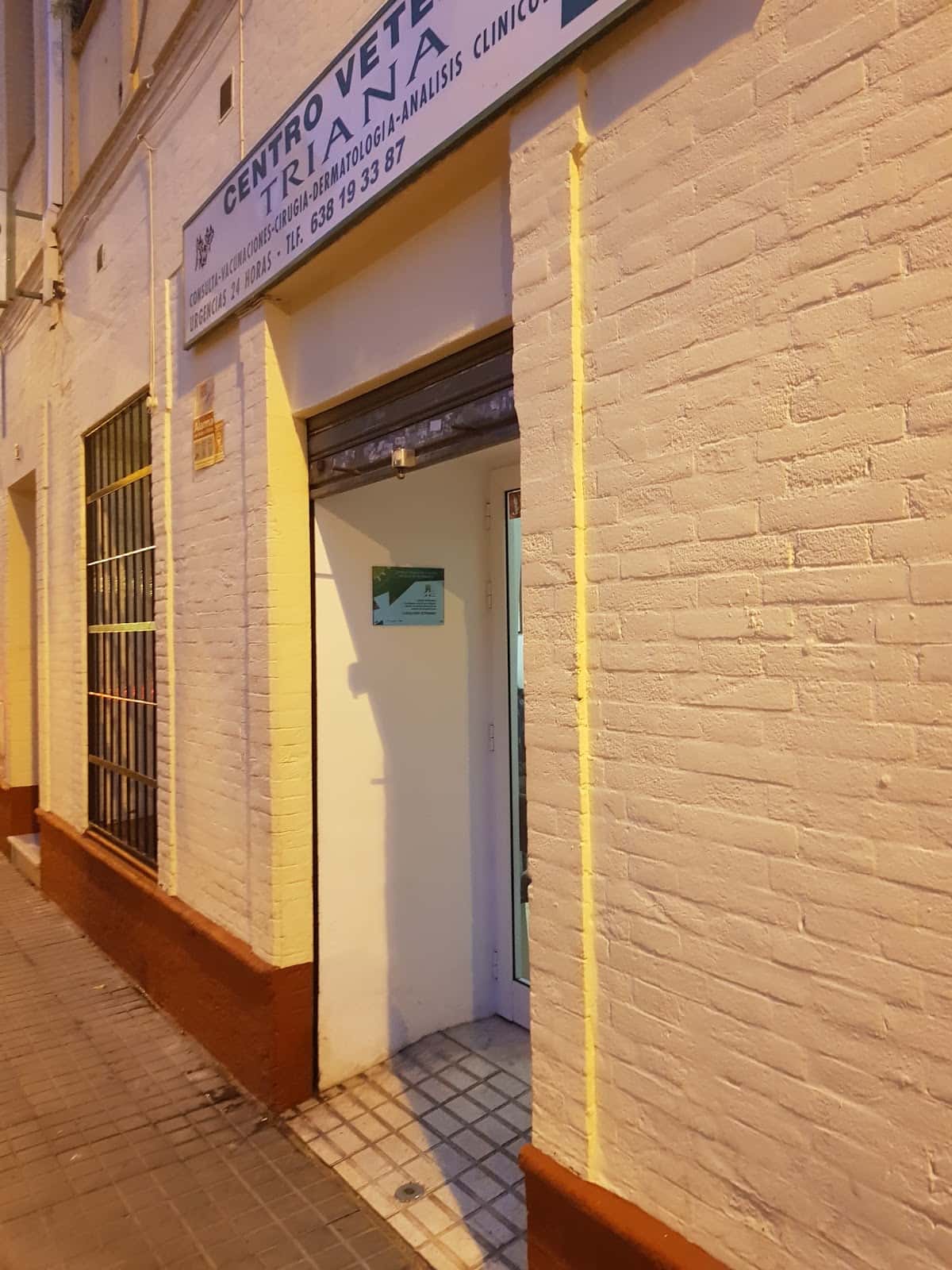centro veterinario triana veterinario centro barrio sevilla en sevilla en sevilla principalImage ADOPTA Sitios Pet Friendly
