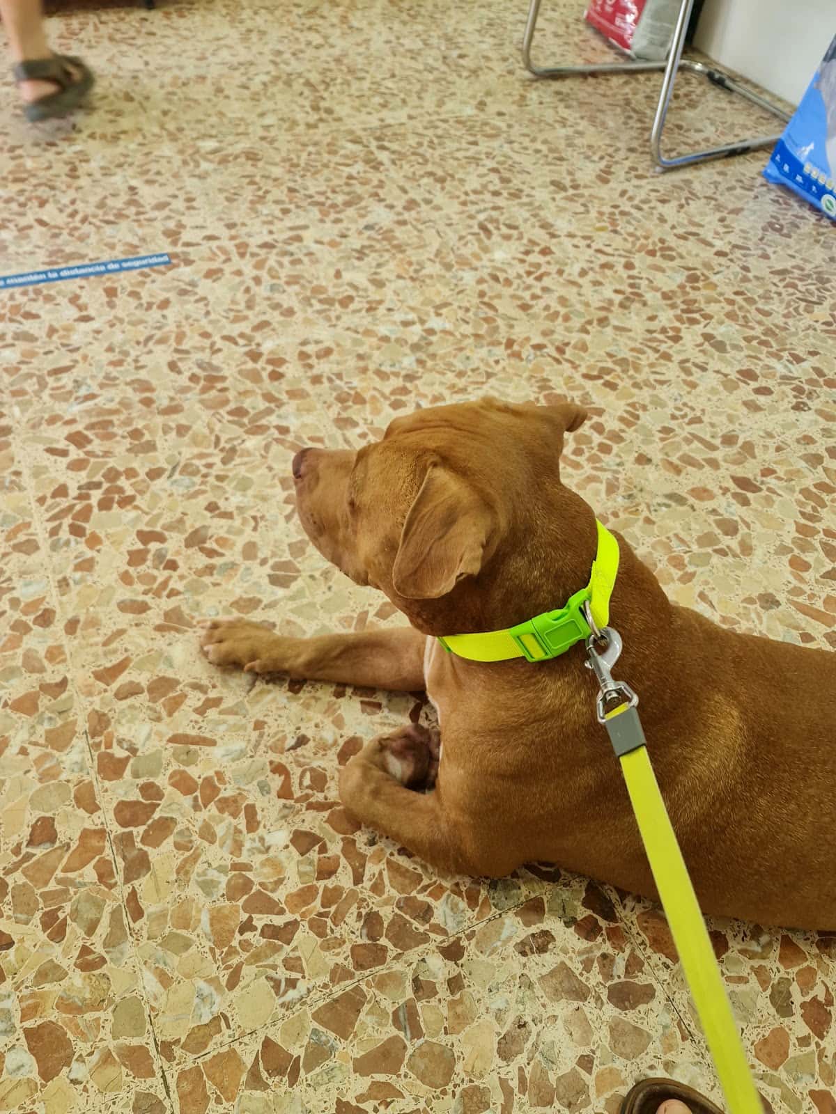 Centro Veterinario Kenia