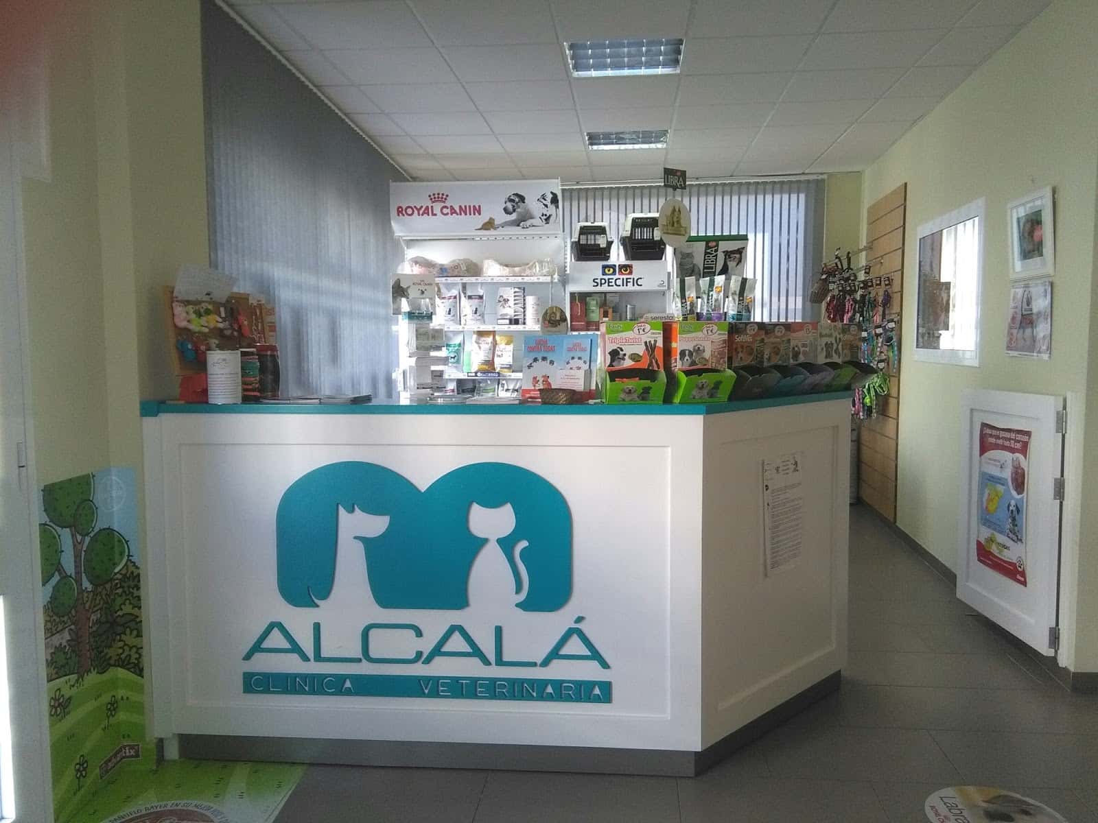 clinica veterinaria alcala veterinario clinica en alcala del rio en sevilla principalImage ADOPTA Sitios Pet Friendly