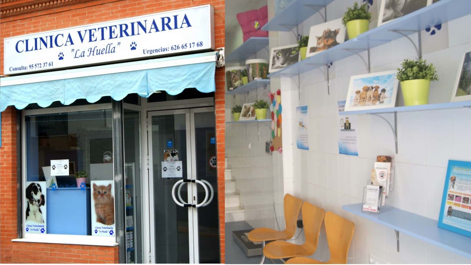 clinica veterinaria la huella  bormujos  veterinario clinica en bormujos en sevilla principalImage ADOPTA Sitios Pet Friendly