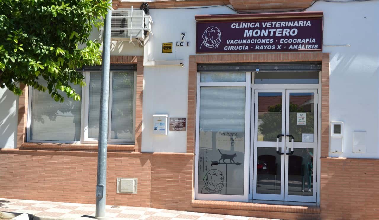 Clínica Veterinaria Montero