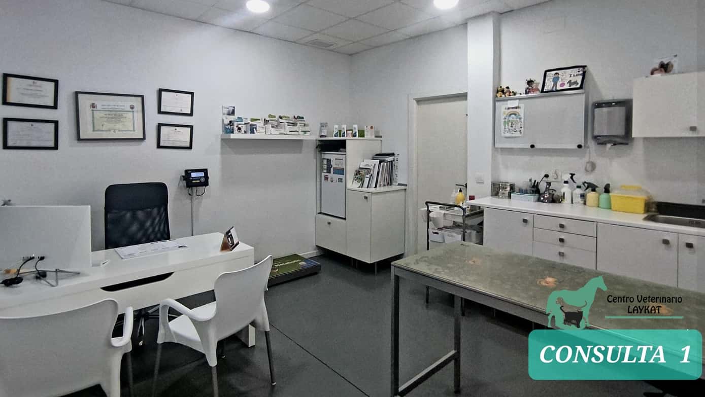 Centro Veterinario Laykat