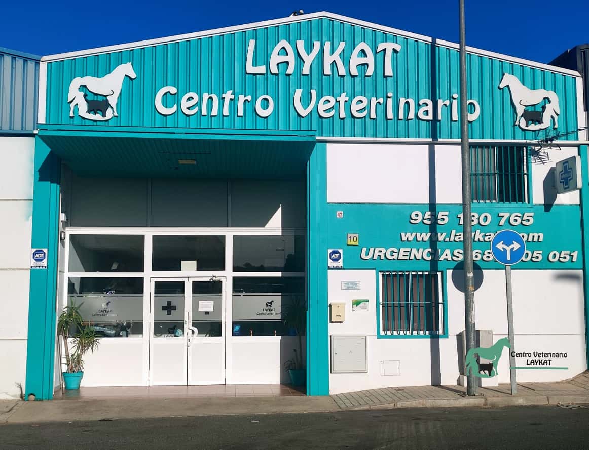 Centro Veterinario Laykat