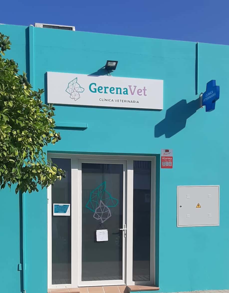 centro veterinario gerenavet veterinario centro en gerena en sevilla principalImage ADOPTA Sitios Pet Friendly