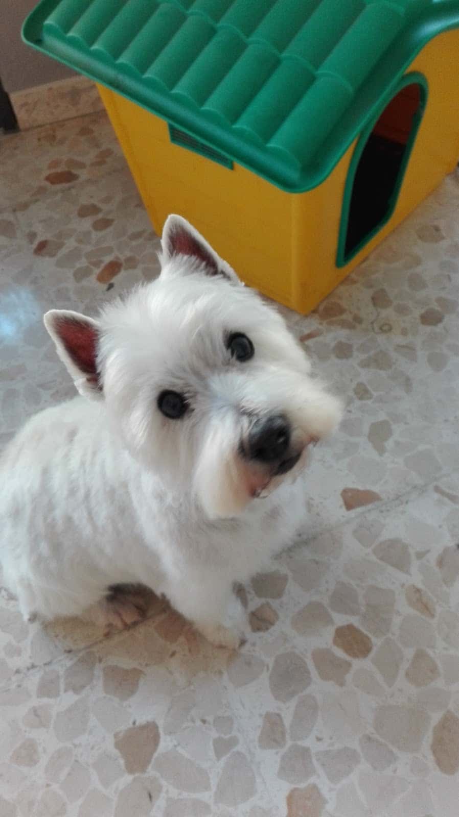 Clínica Veterinaria REYCAN