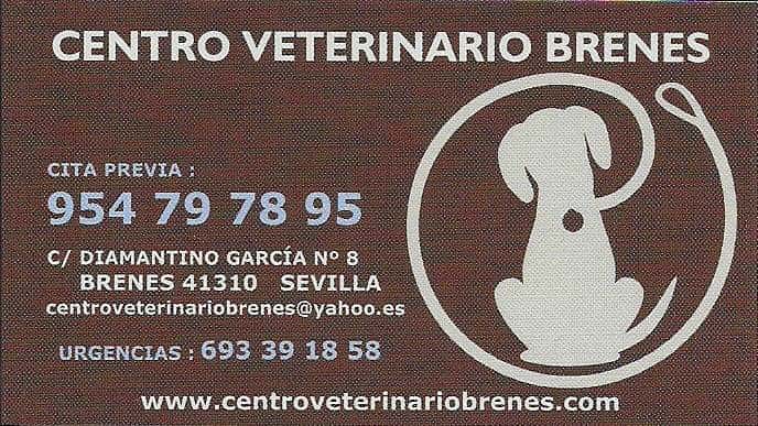 centro veterinario brenes veterinario centro en brenes en sevilla principalImage ADOPTA Sitios Pet Friendly
