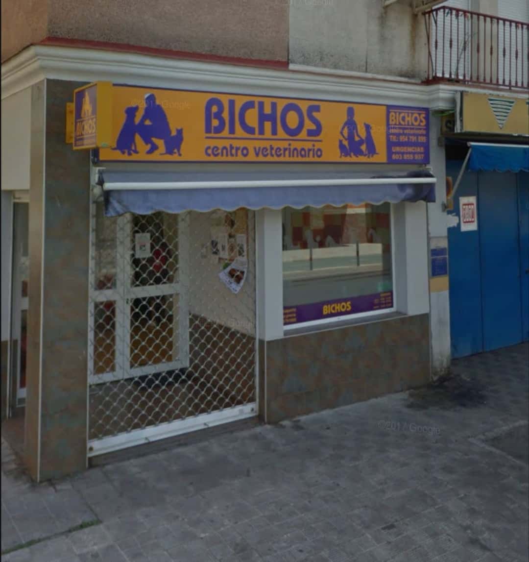 Clinica Veterinaria Bichos