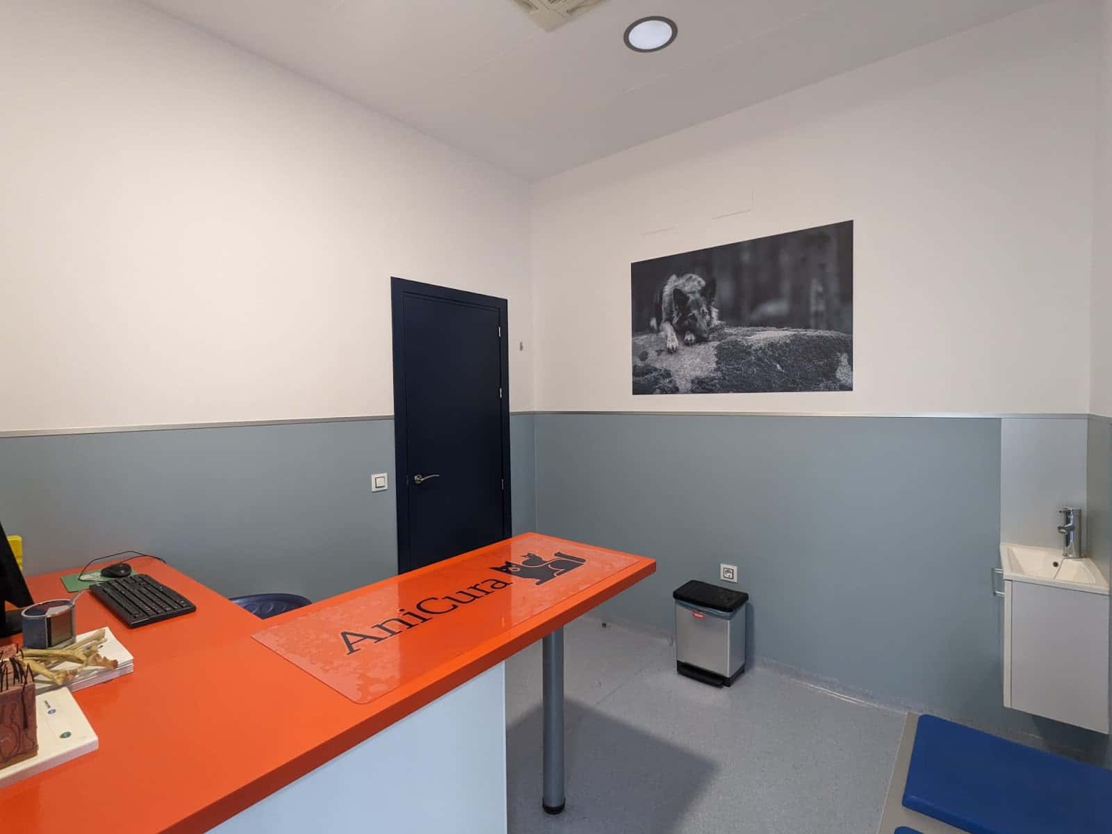 AniCura Guadiamar Hospital Veterinario | Urgencias 24h