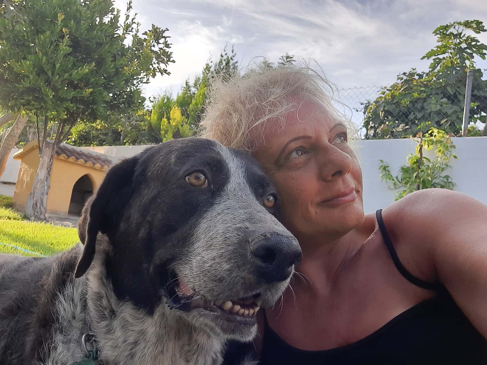 clínica veterinaria el sol