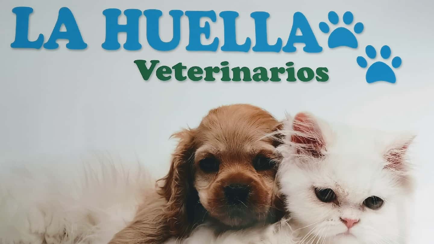 clinica veterinaria la huella  umbrete  veterinario clinica en umbrete en sevilla principalImage ADOPTA Sitios Pet Friendly