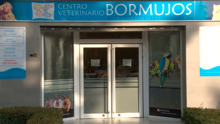 AniCura Bormujos Clínica Veterinaria