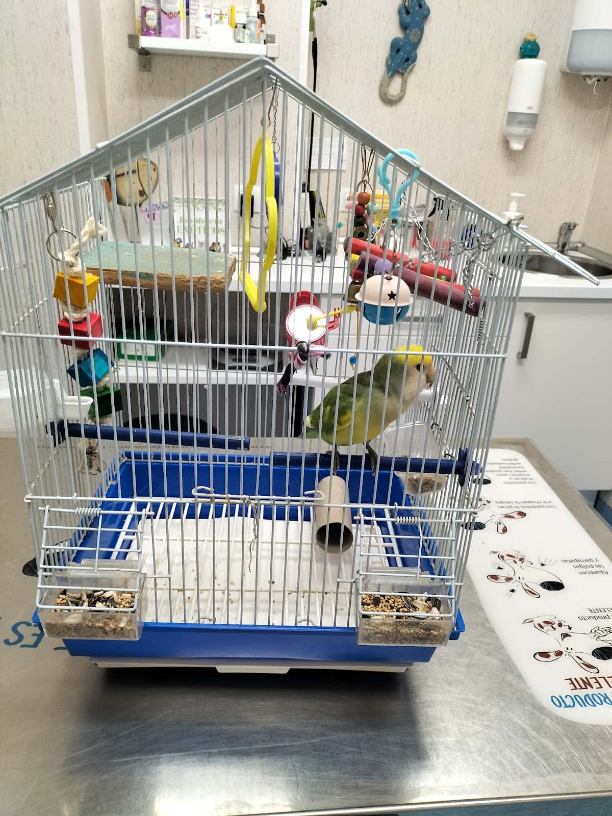 AniCura Bormujos Clínica Veterinaria