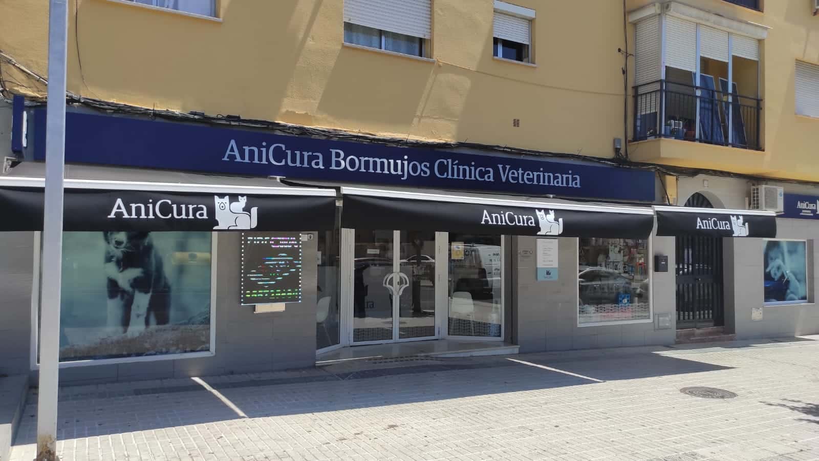 anicura bormujos clinica veterinaria veterinario clinica en bormujos en sevilla principalImage ADOPTA Sitios Pet Friendly