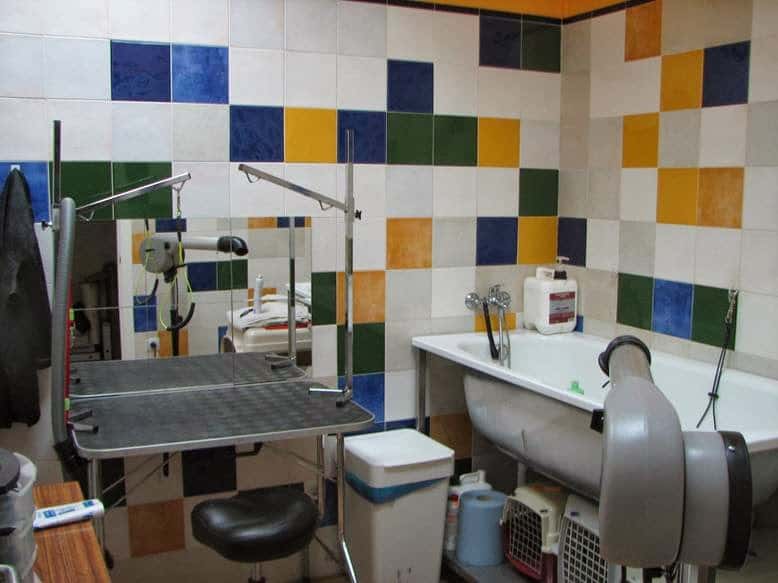 AniCura Bormujos Centro Veterinario